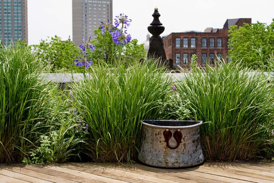 Perfect Summer Rooftops