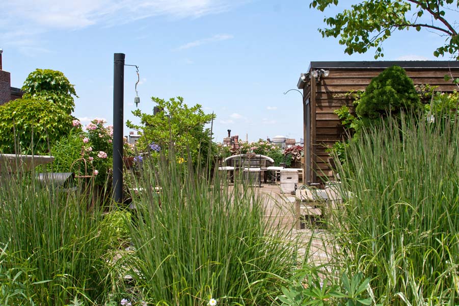 Perfect Summer Rooftops