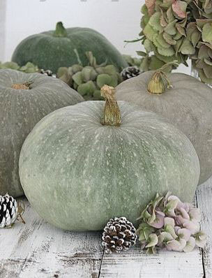 Trending for Fall: Muted Pumpkins + Gourds