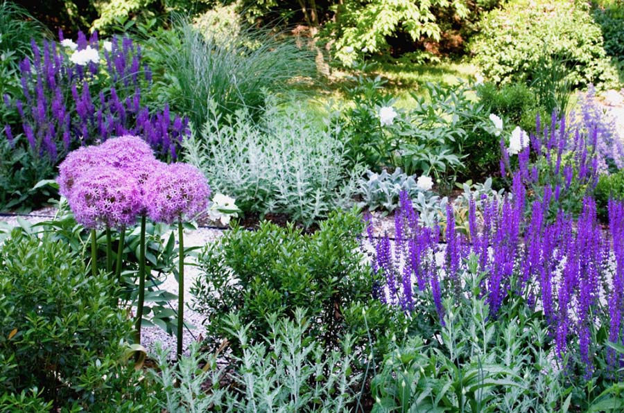 Landscape Architecture by Matthew Cunningham Landscape Design Landscape Architecture by Matthew Cunningham Landscape Design