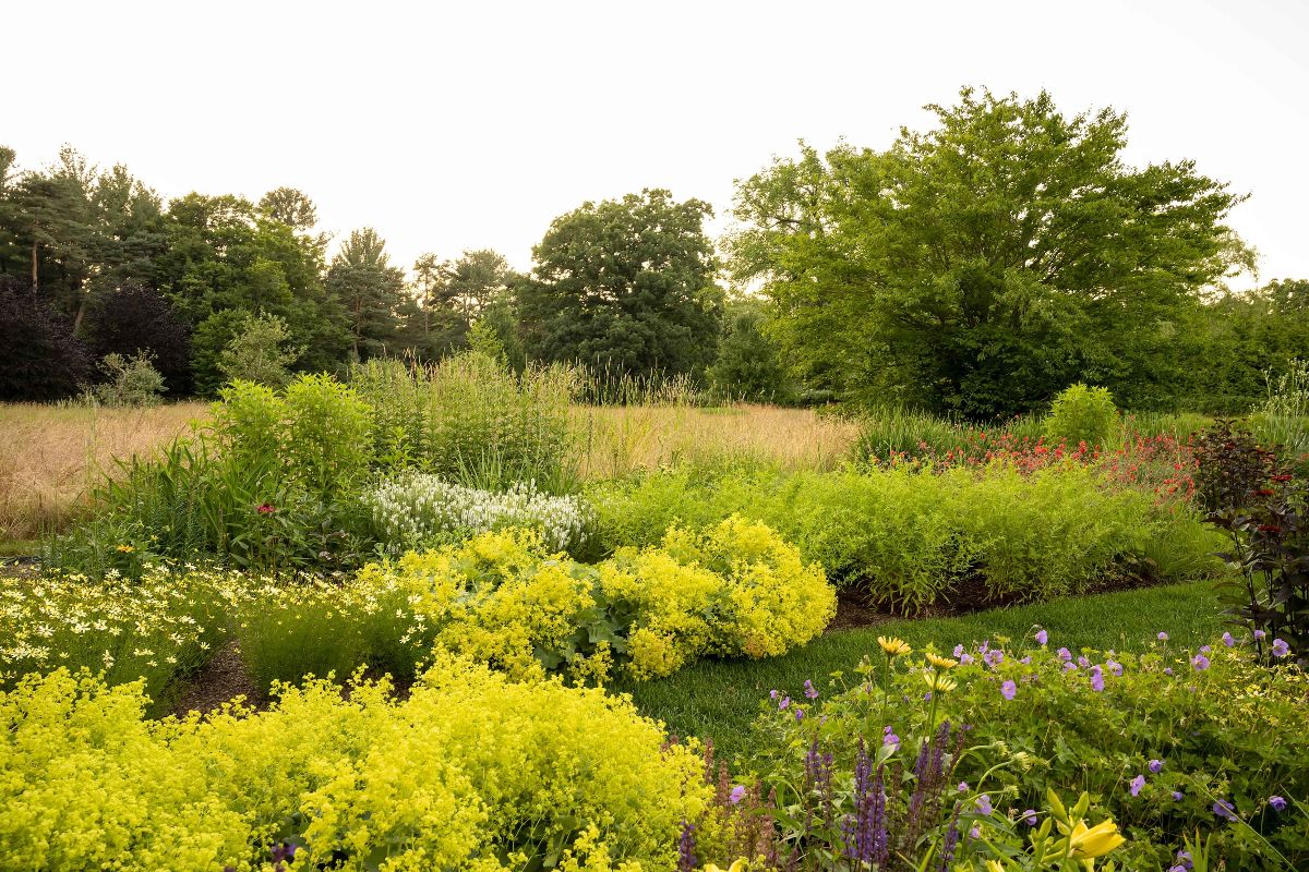 Botanica Land Care