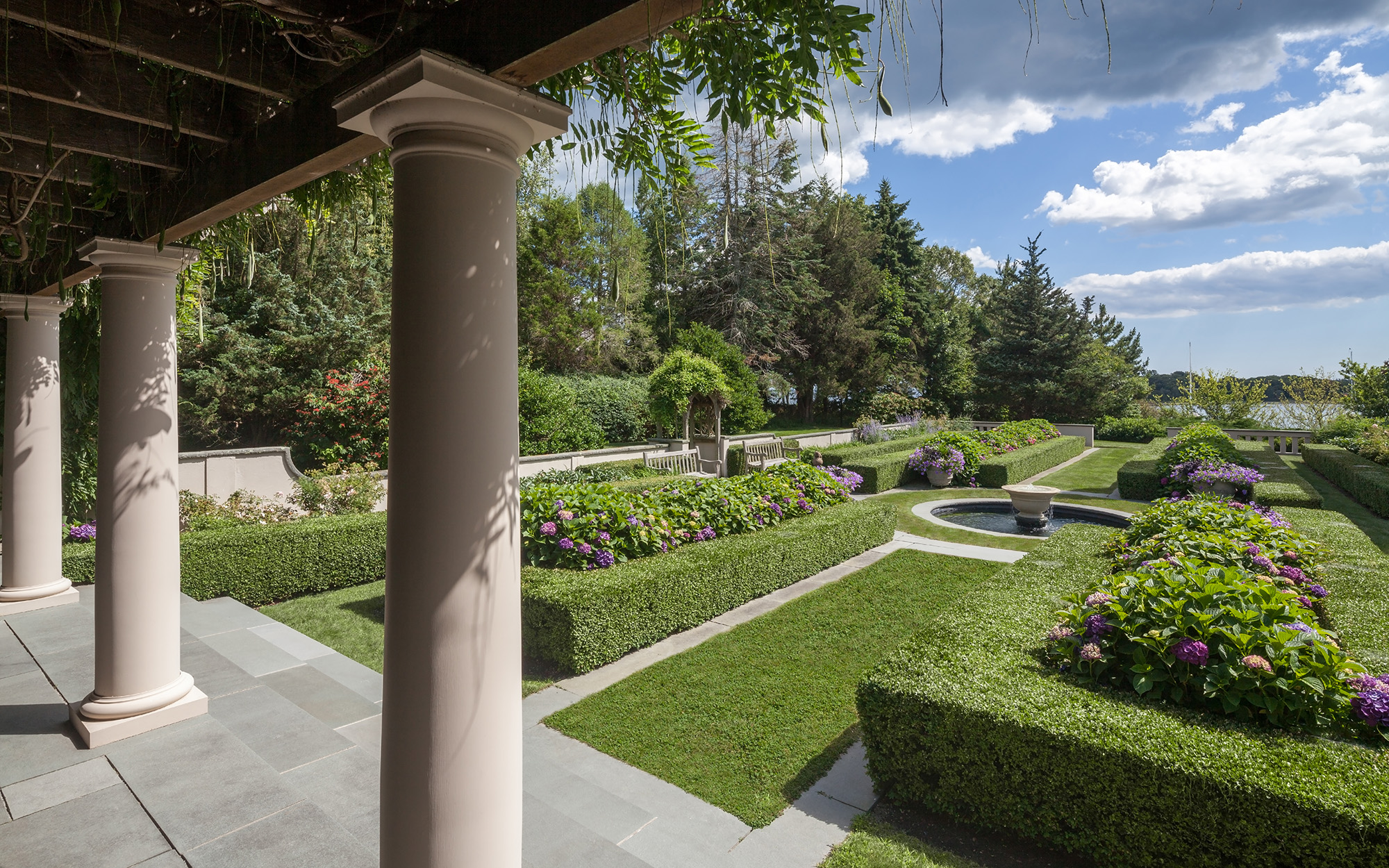 Backyard Garden