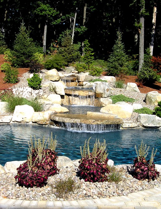 Aquascape Pool Designs