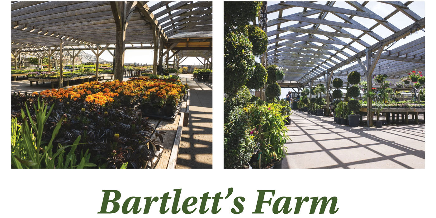 Bartlett's Farm on Nantucket Island