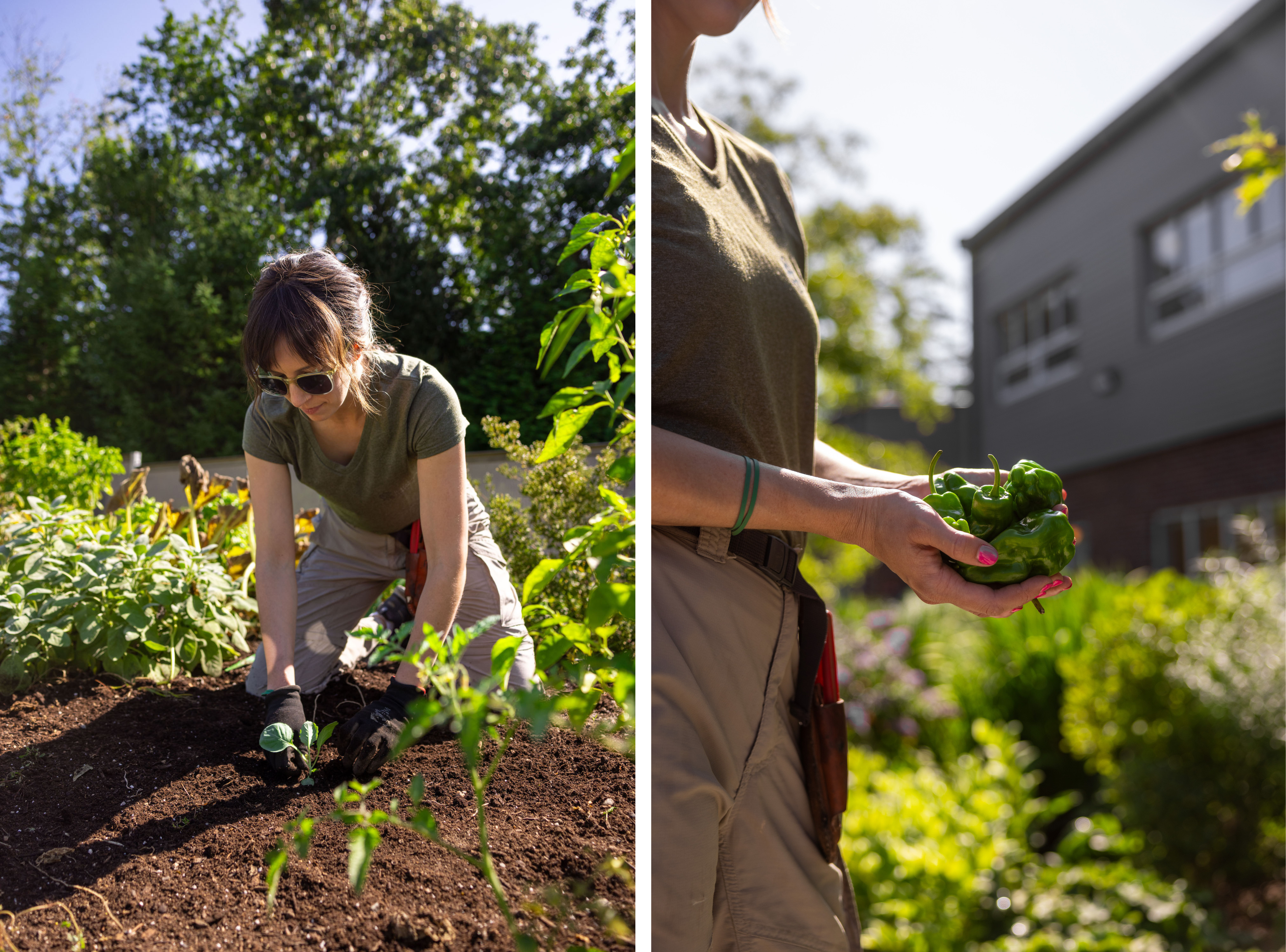 Botanica Land Care