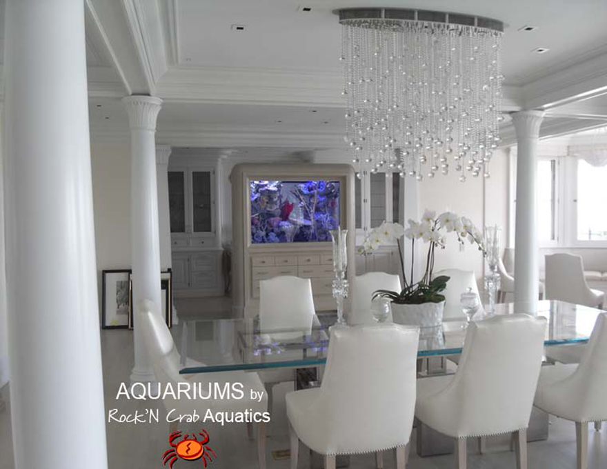 RockN Crab Aquatics