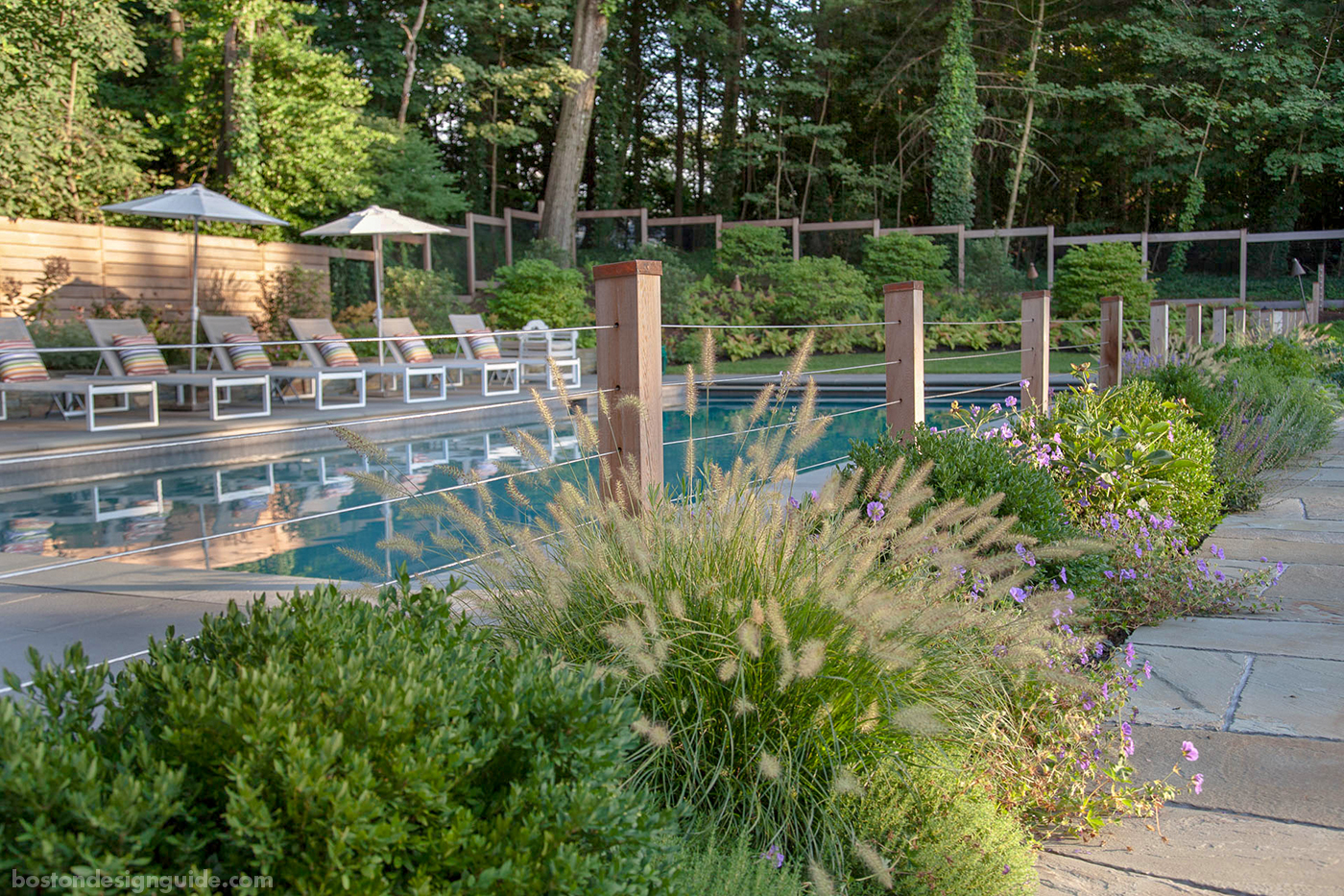 Lush pool garden by Matthew Cunningham Landscape Design