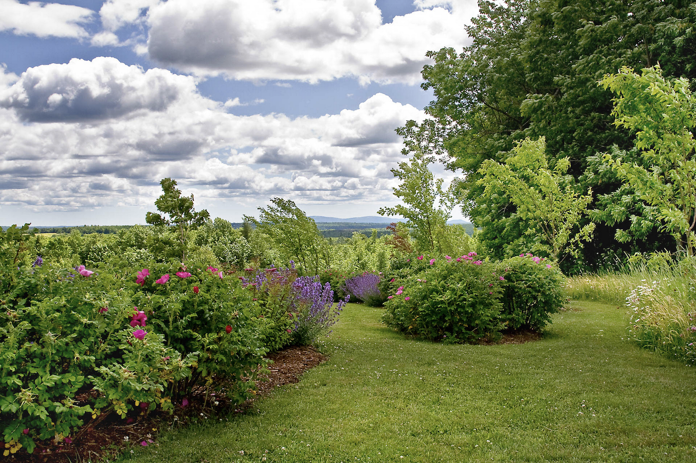 Front Ridge, Matthew Cunningham, Natural Lawns