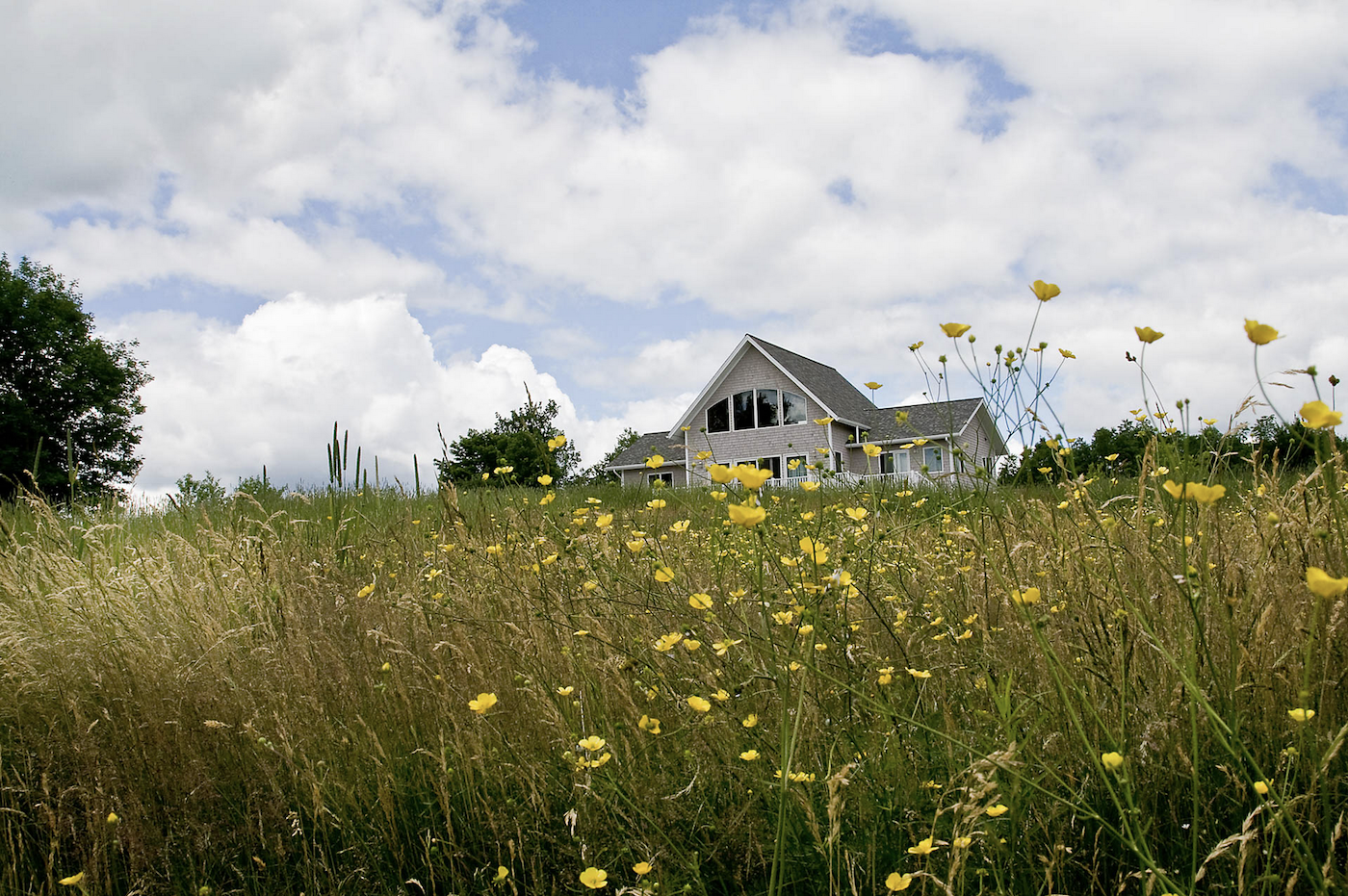 Front Ridge, Matthew Cunningham, Natural Lawns