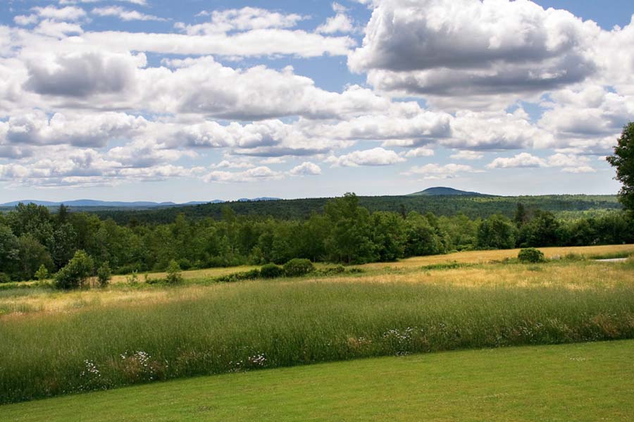 Breath of Fresh Air: Springtime in the Mountains