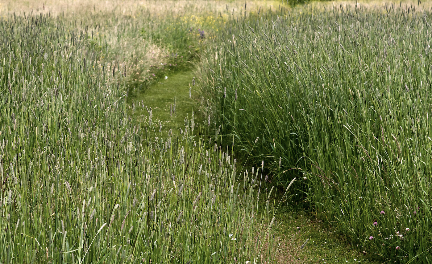 natural lawns, michael cunningham landscape design