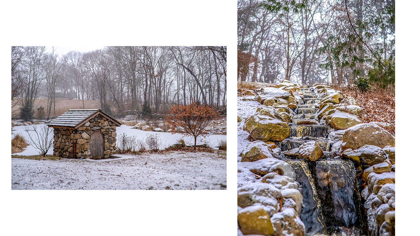 Naturalized landscape with restored pond and waterfalls by Landscape Creations