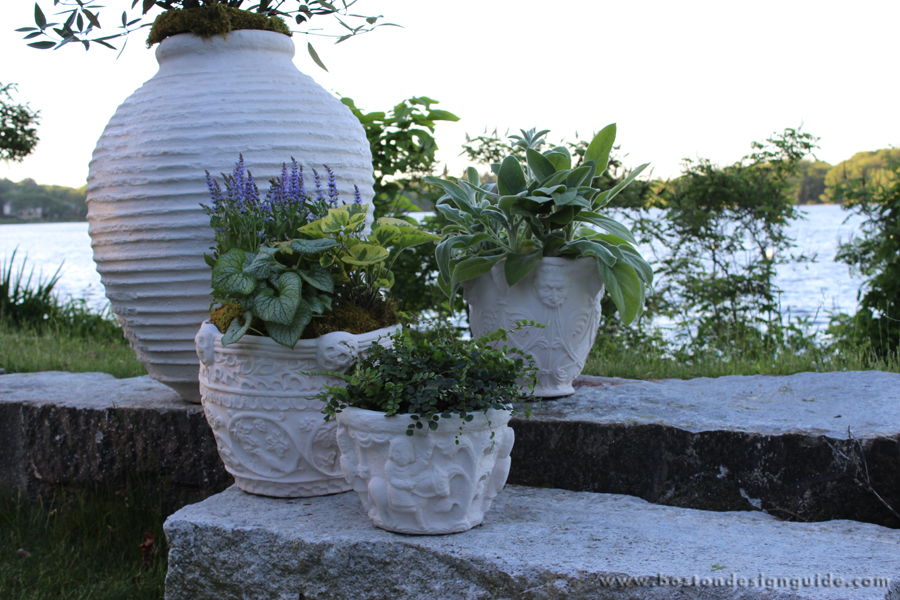 Container Gardens + Boutique Garden Services