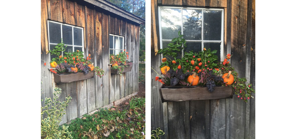 barn Flower basket arrangement for fall 