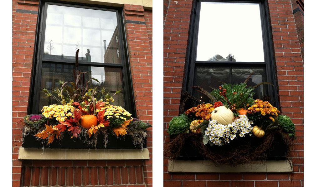 beacon bill boston flower box arrangements for fall 