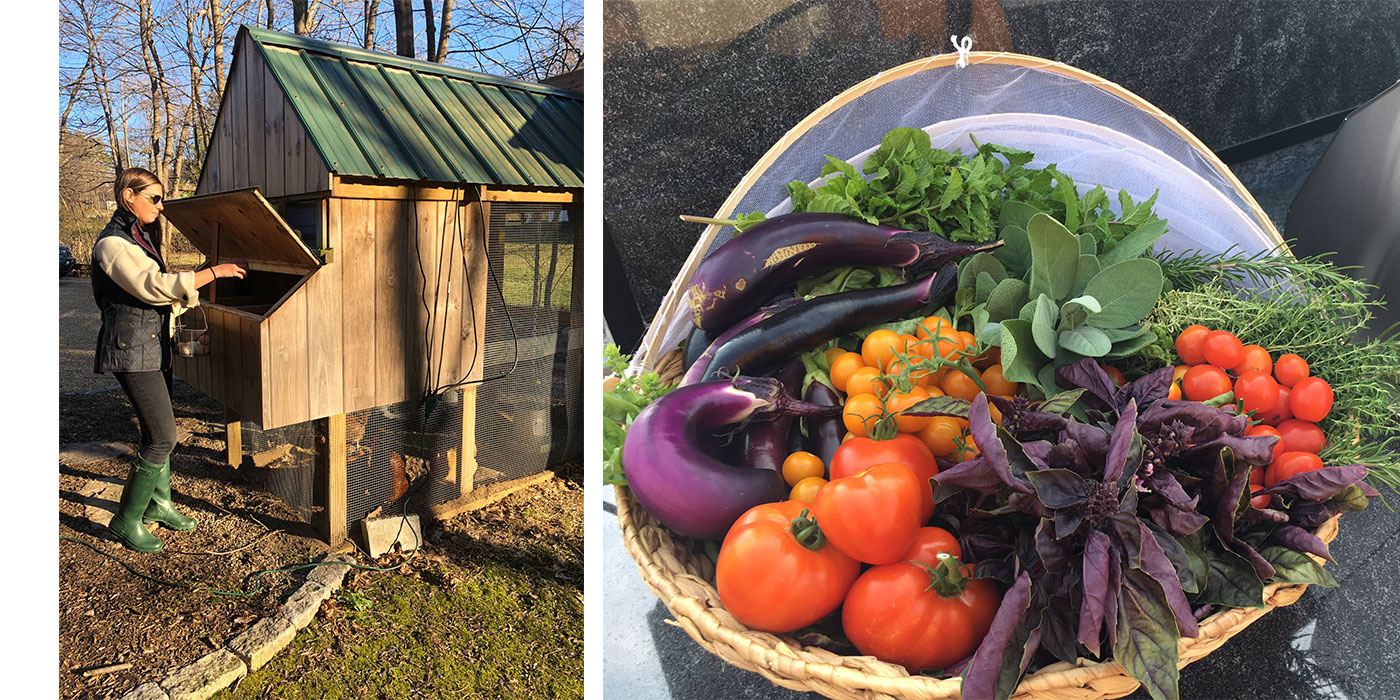 Botanica's fresh vegetables, eggs and chicken coop care