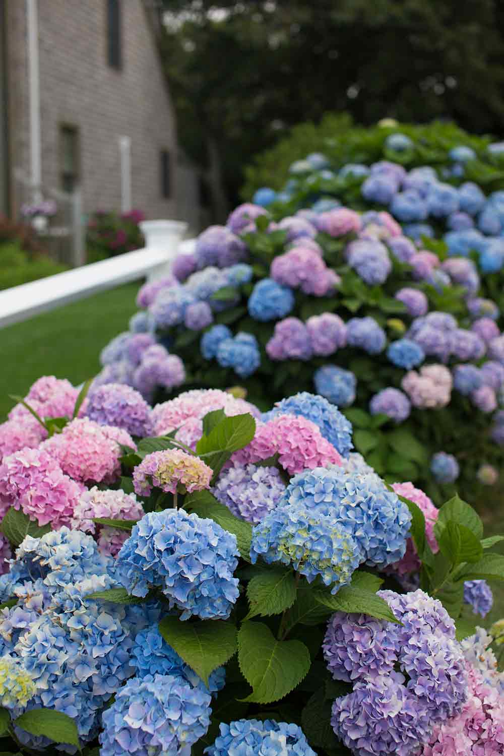 garden tours in New England