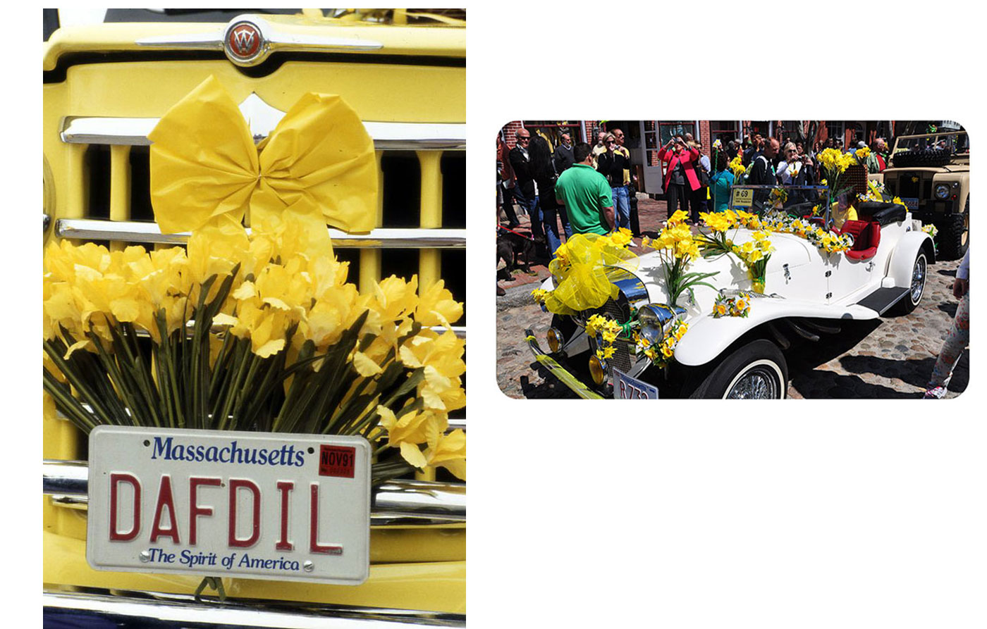 Nantucket Daffodil Festival