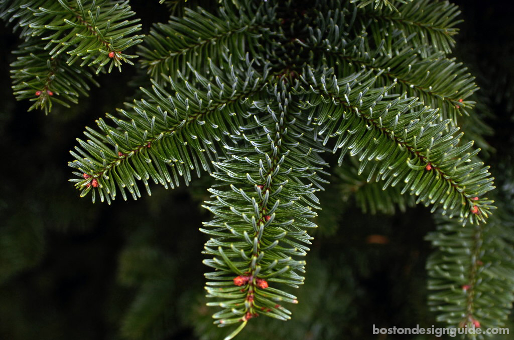 gorgeous christmas decorations