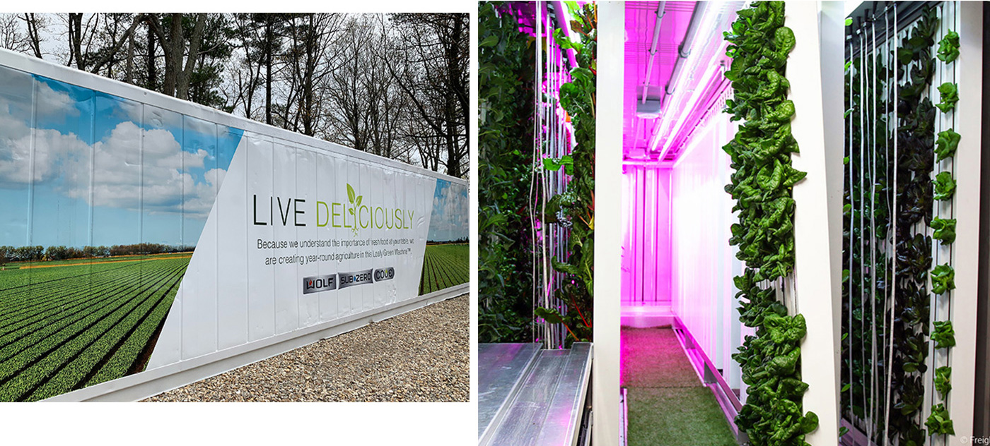 Clarke debuts the first harvest of its Hydroponic Container Farm