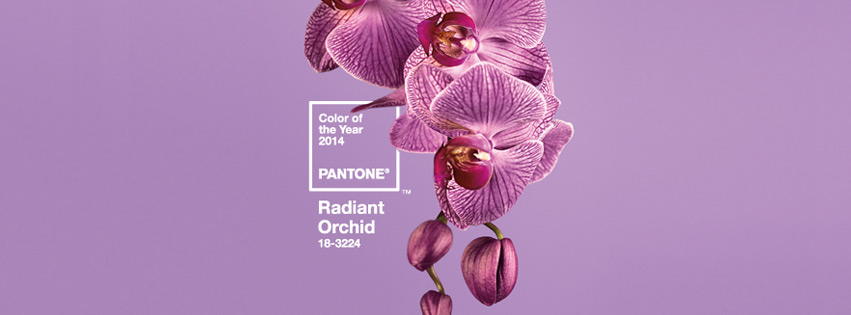  Radiant Orchid 