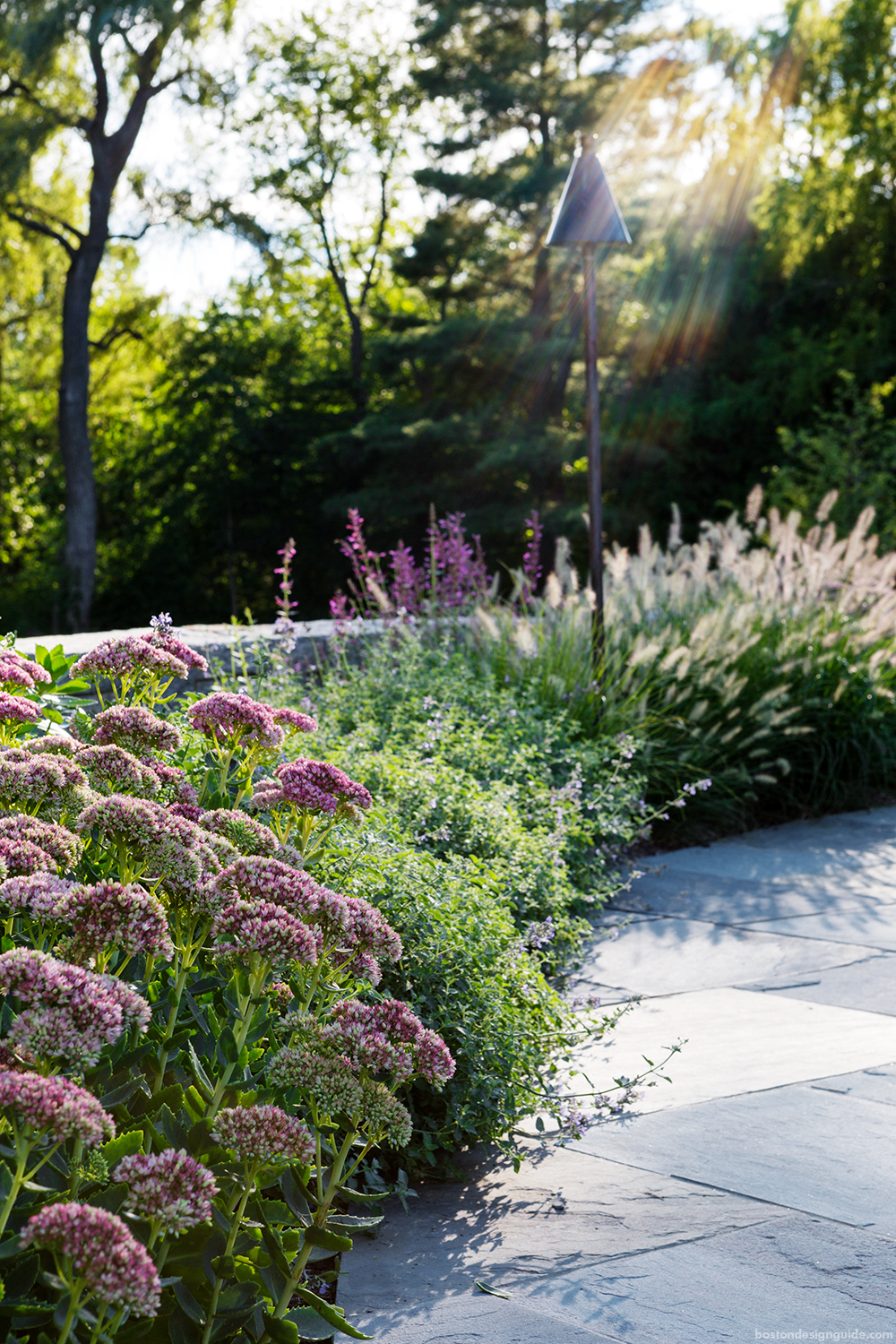 residential home estate landscape