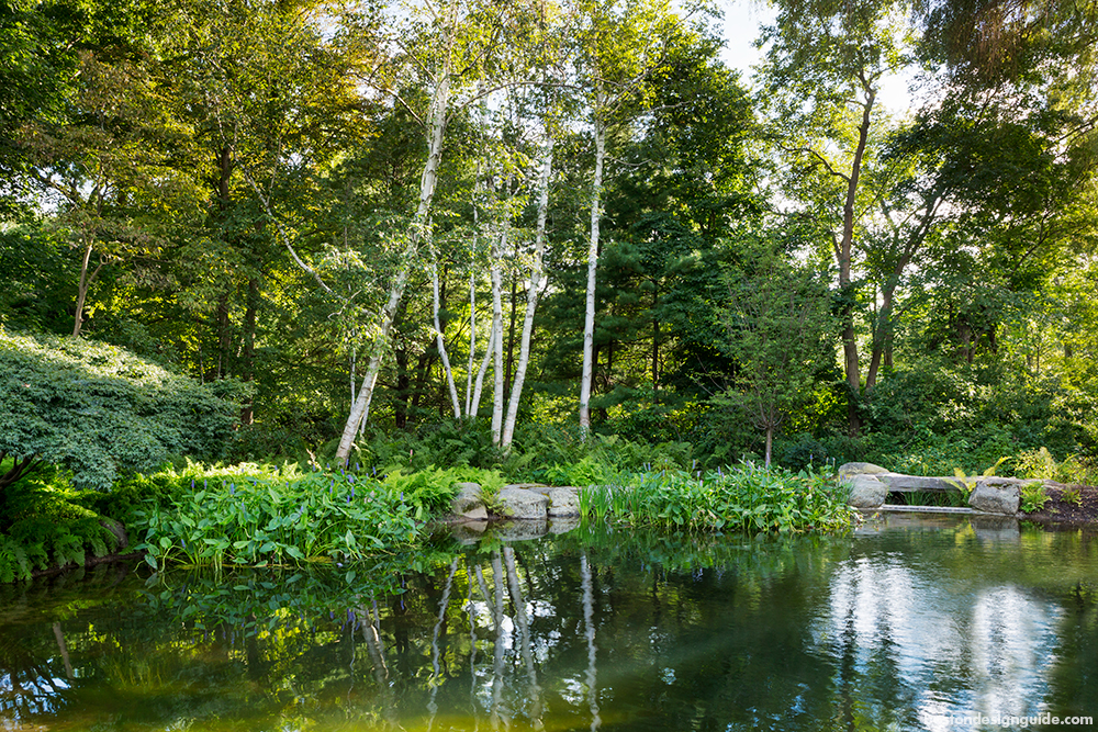 residential home landscaping