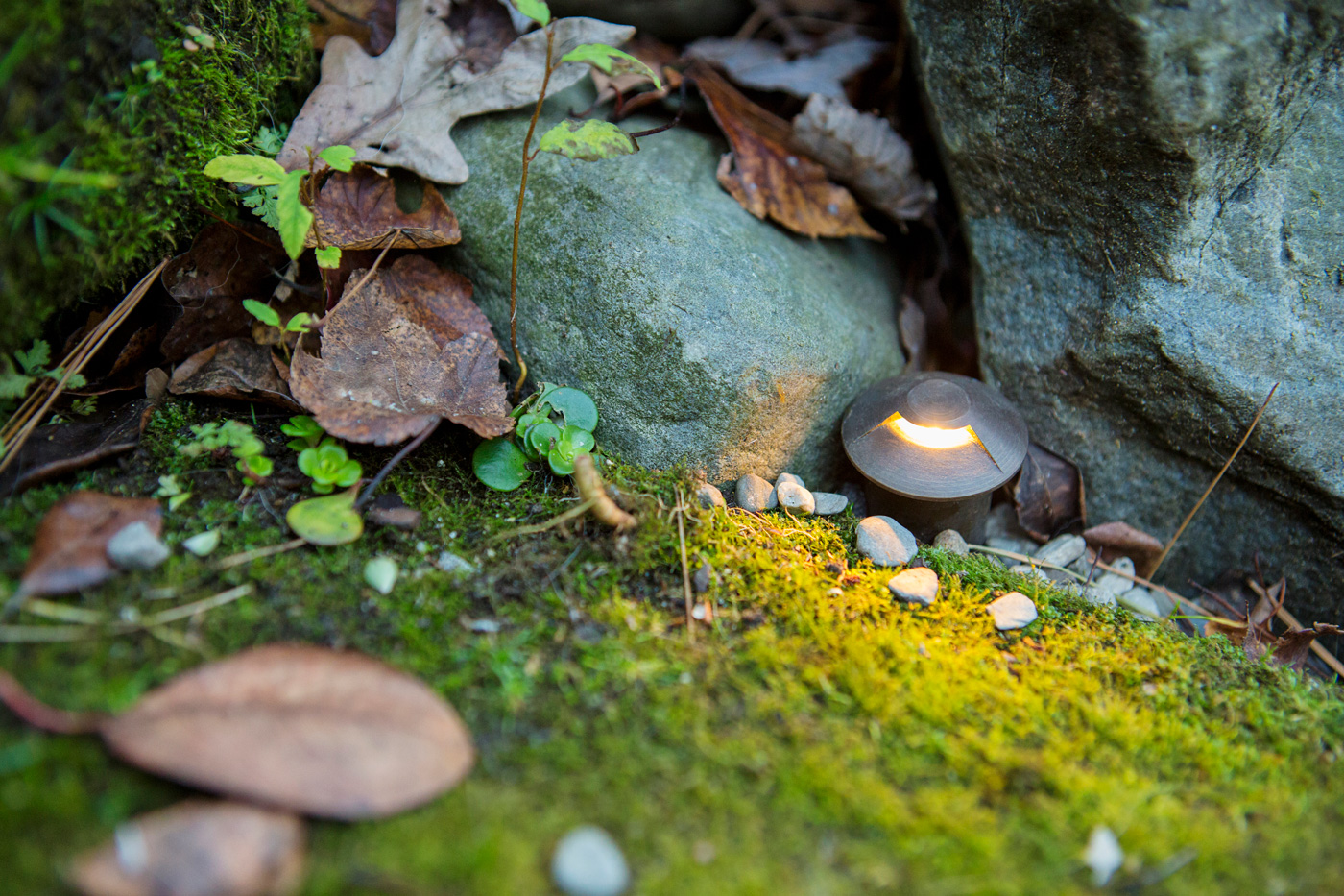 The best landscape lighting