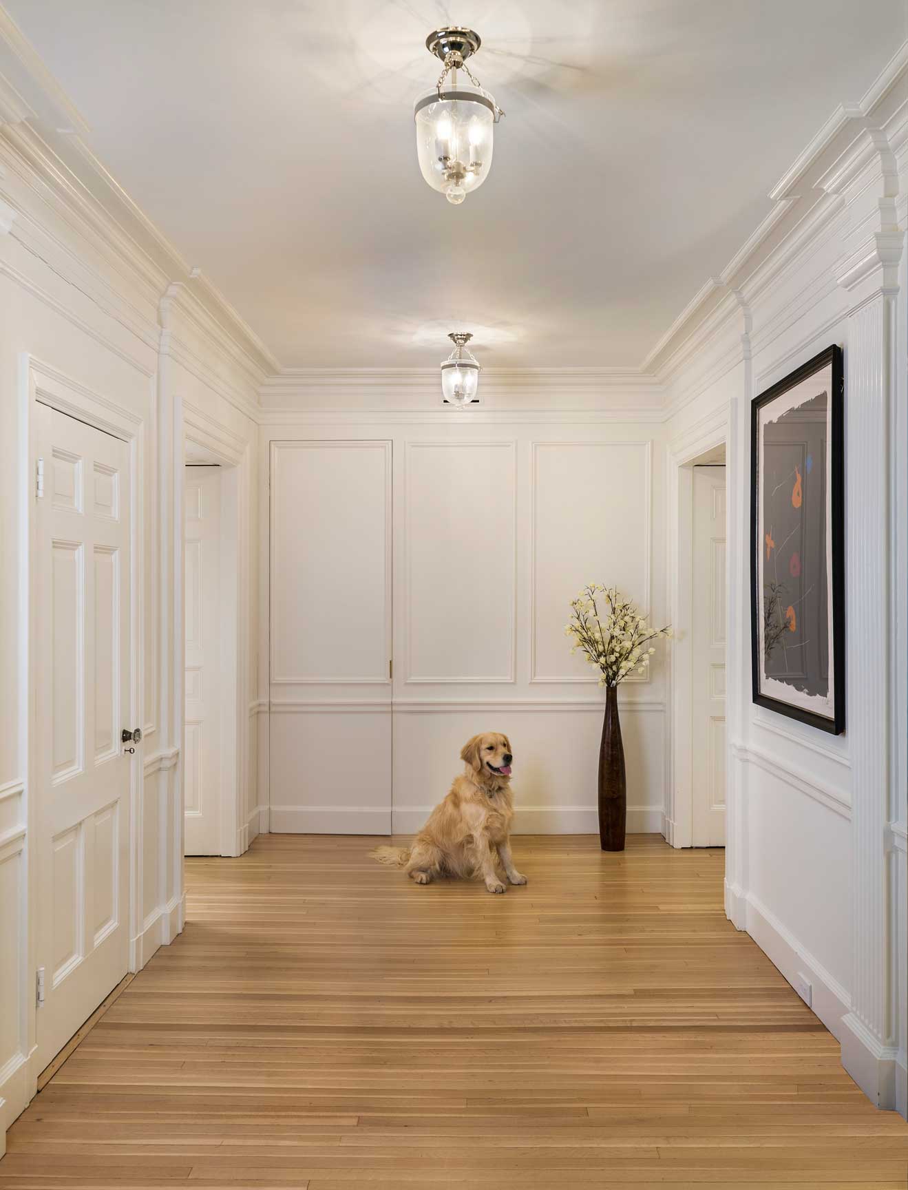 golden retriever sitting in an entry way