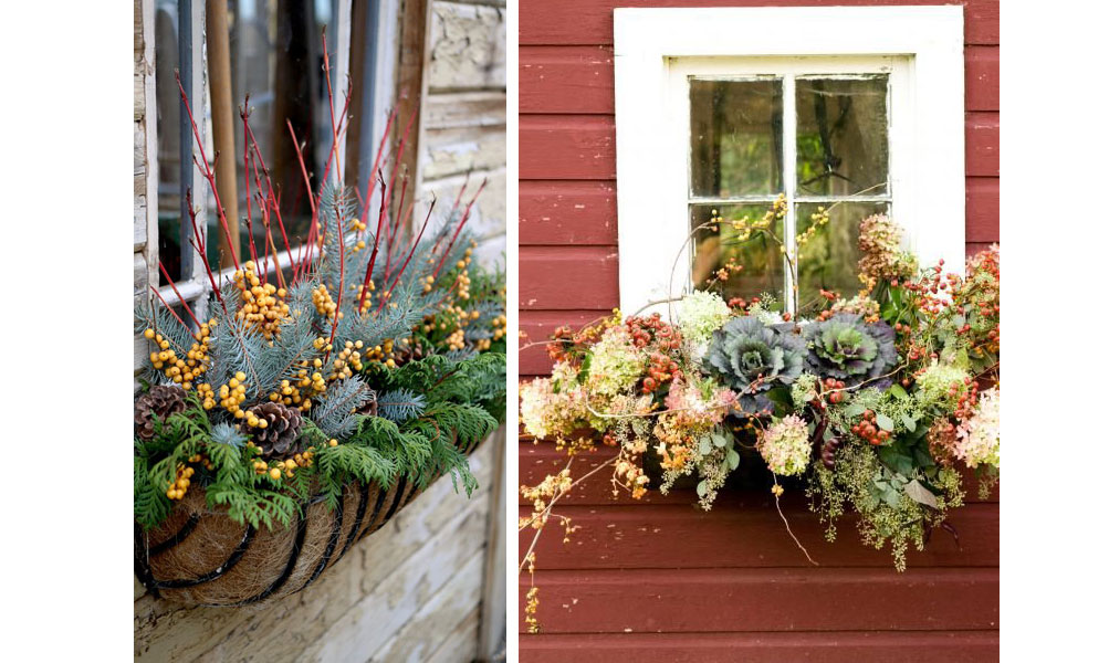 Window flower boxes for fall 