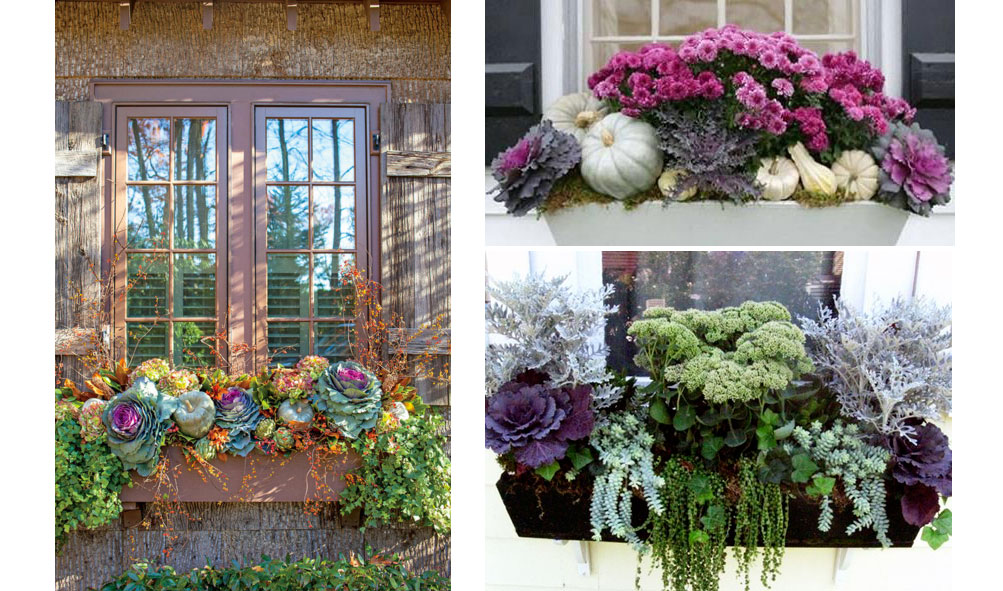 Fall Flower Box Window Arranagement