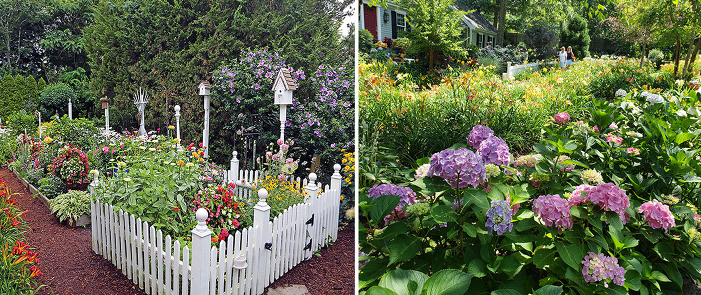 A Summer Garden Celebration—2020 Cape Cod Hydrangea Festival