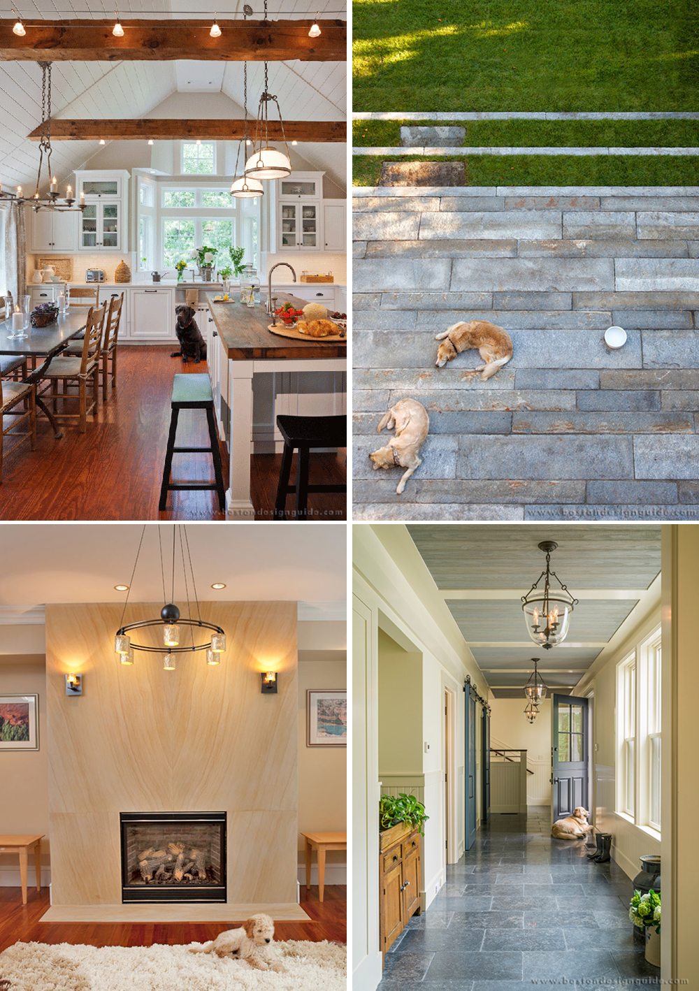 home design, puppies, dogs, national puppy day, architecture, builder New England