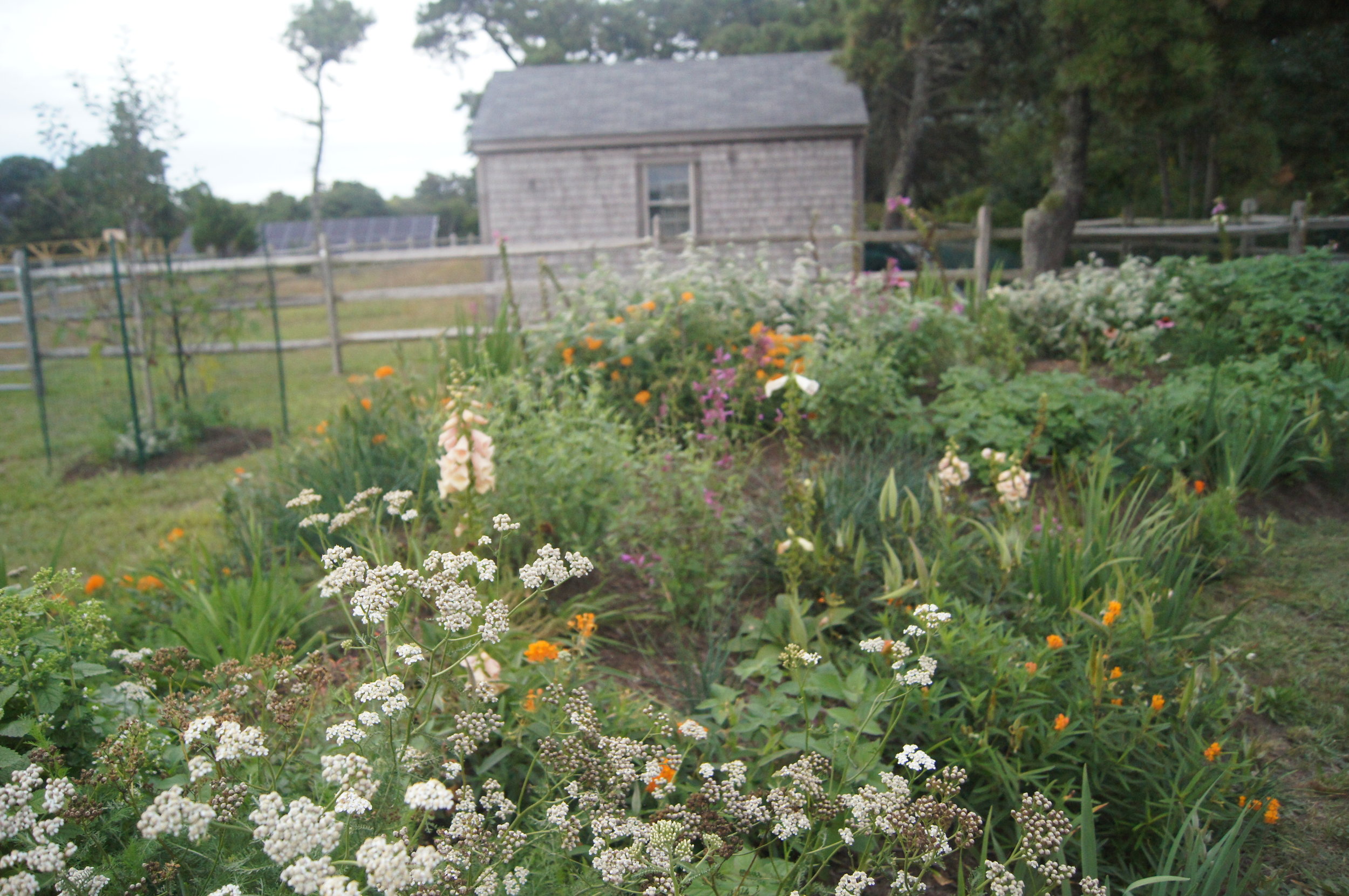 garden festivals in Nantucket