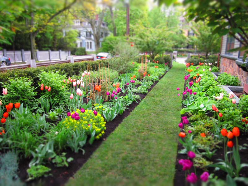 Waking the Gardens Waking the Gardens