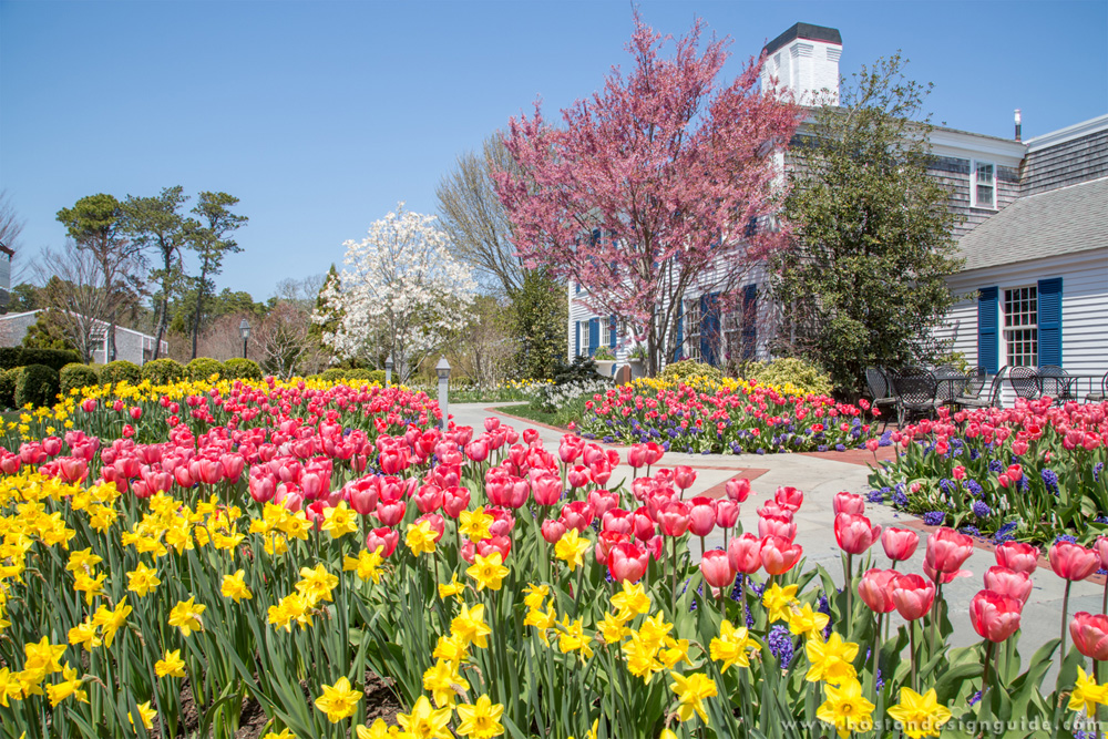 Spring landscape by The Schumacher Companies