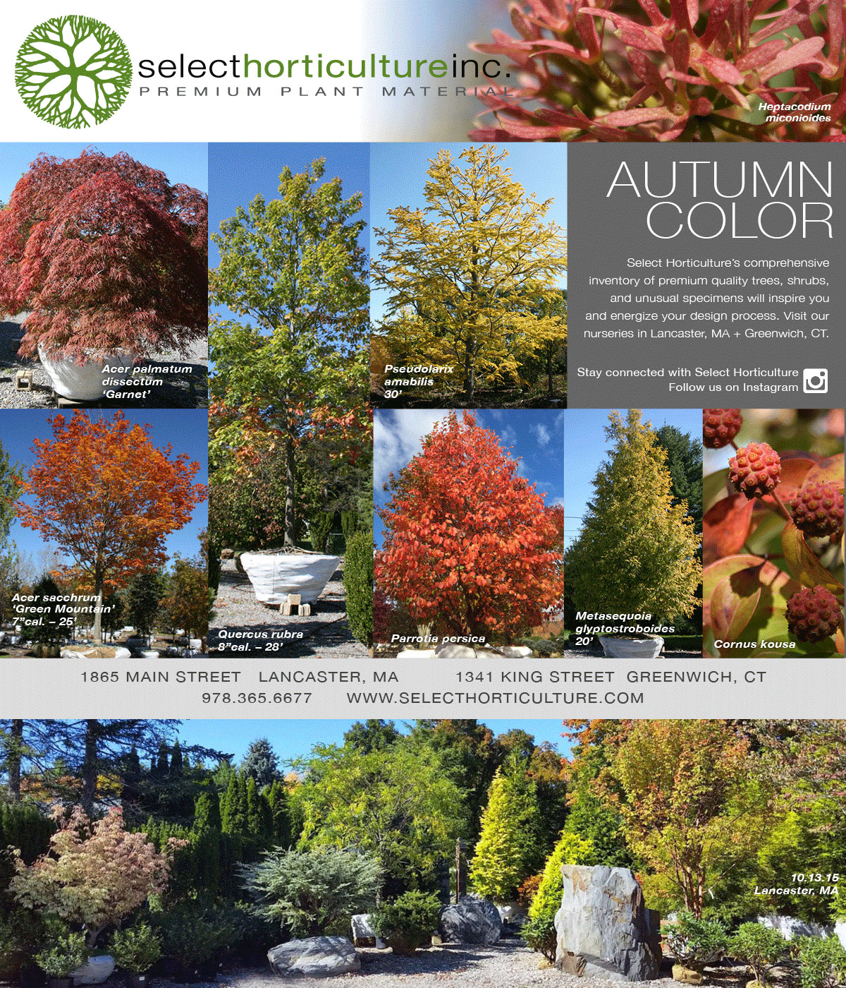 Autumn Color at Select Horticulture