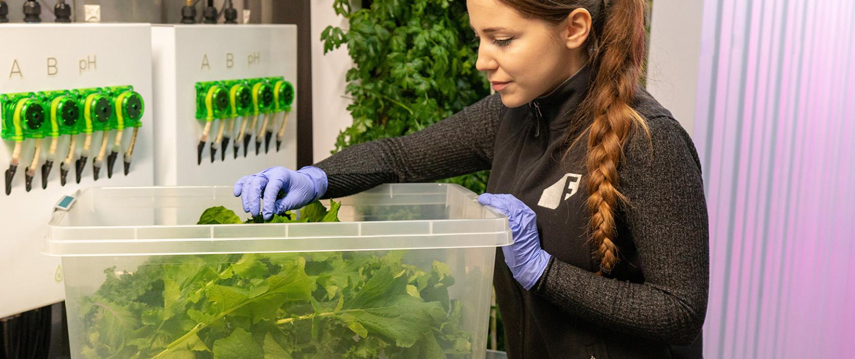 Clarke debuts its Hydroponic Container Farm