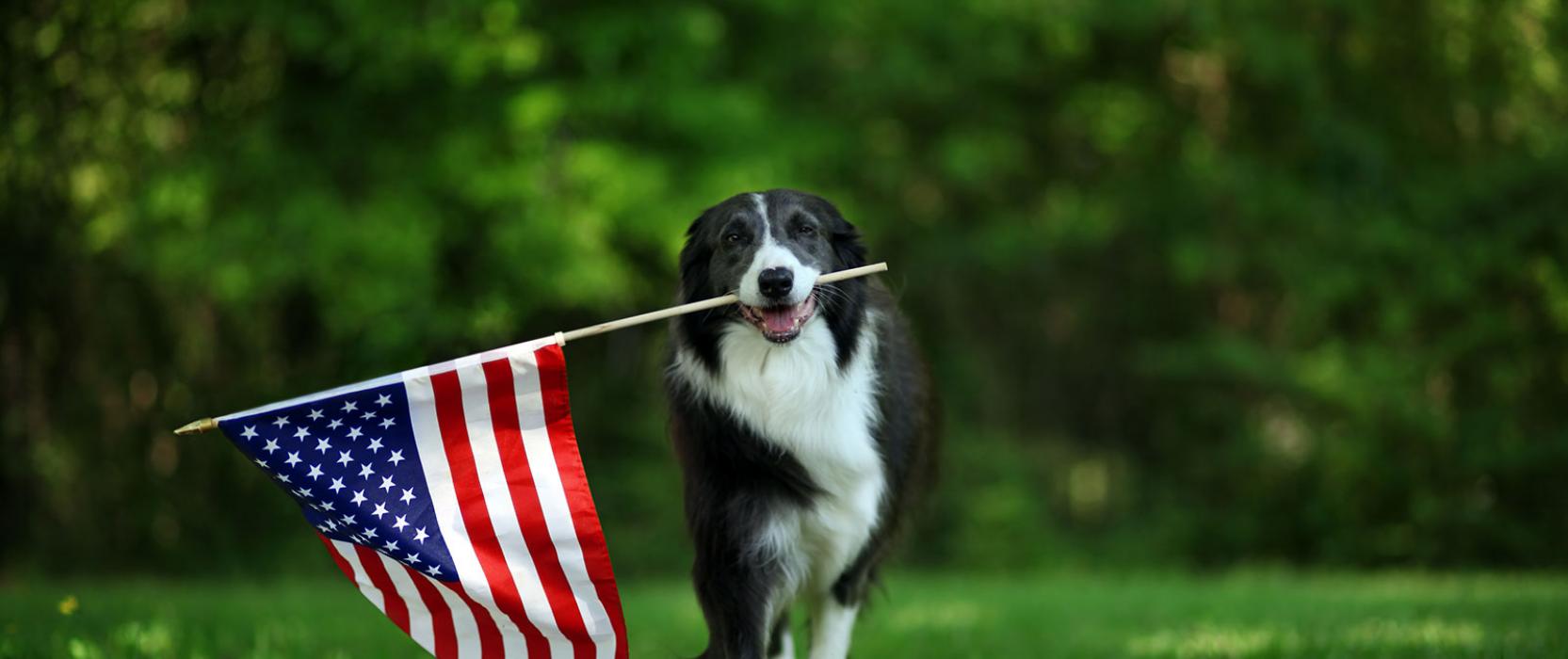 Simple ways to mark Memorial Day 
