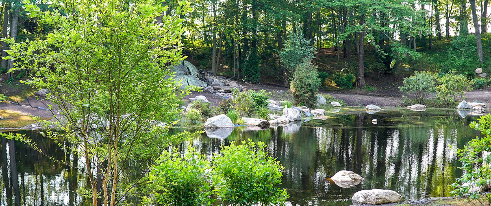 A naturalized pond restoration by landscape contractor Landscape Creations
