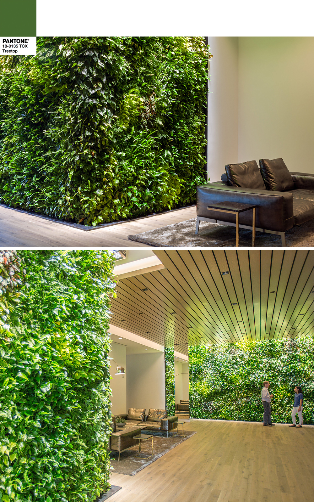 Indoor Landscape Architecture