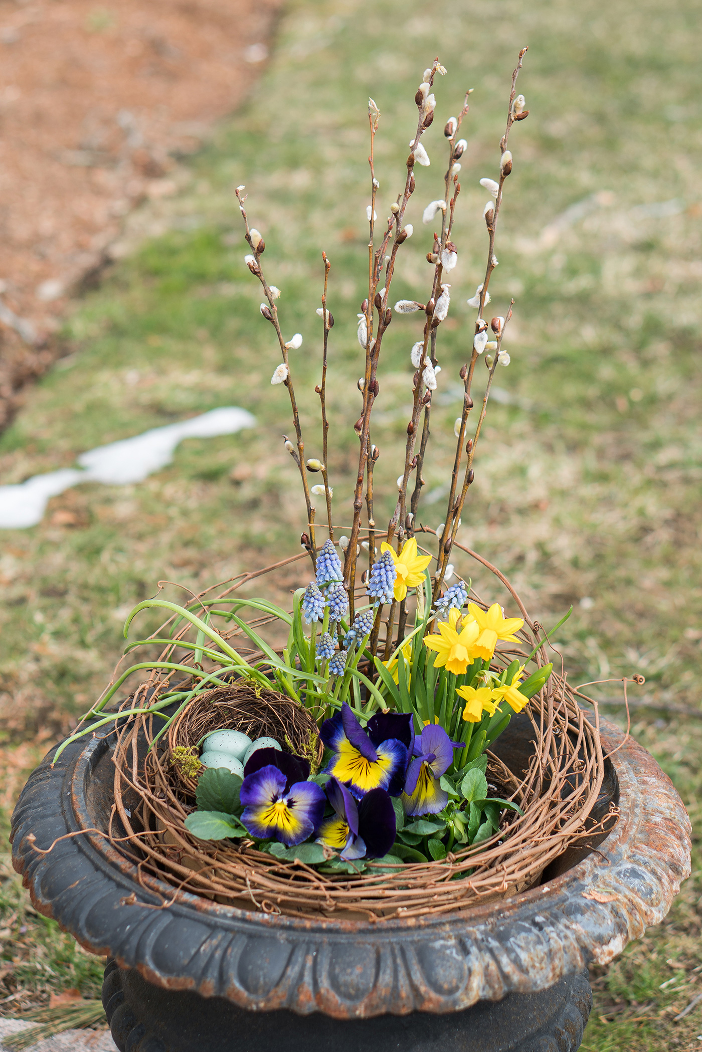 Spring window box transformation