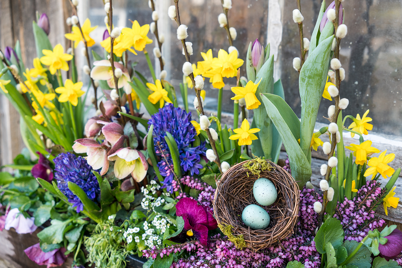 Window box arrangement for spring