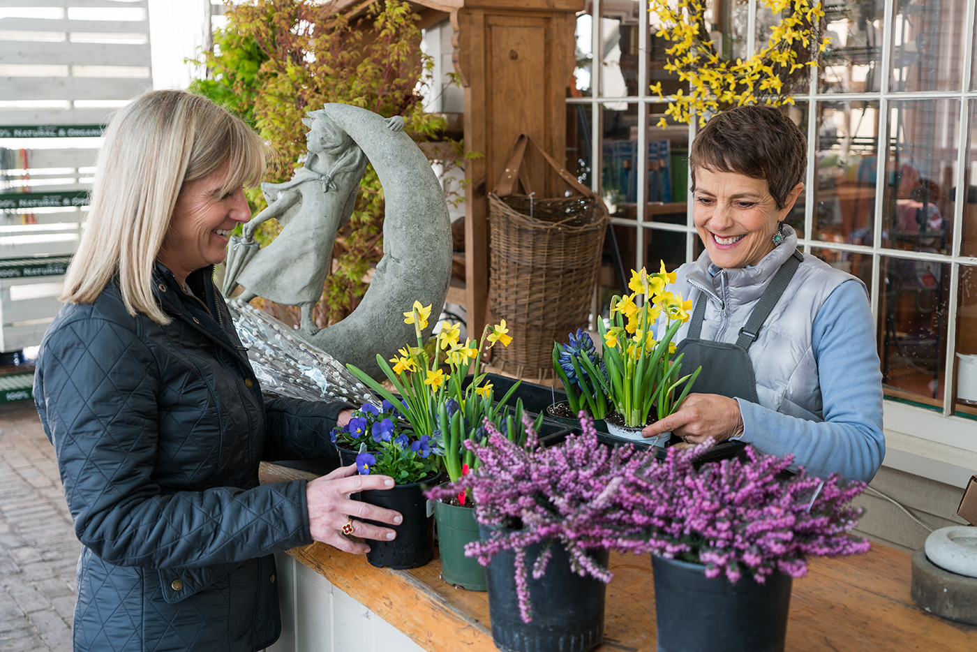 Spring window box transformation