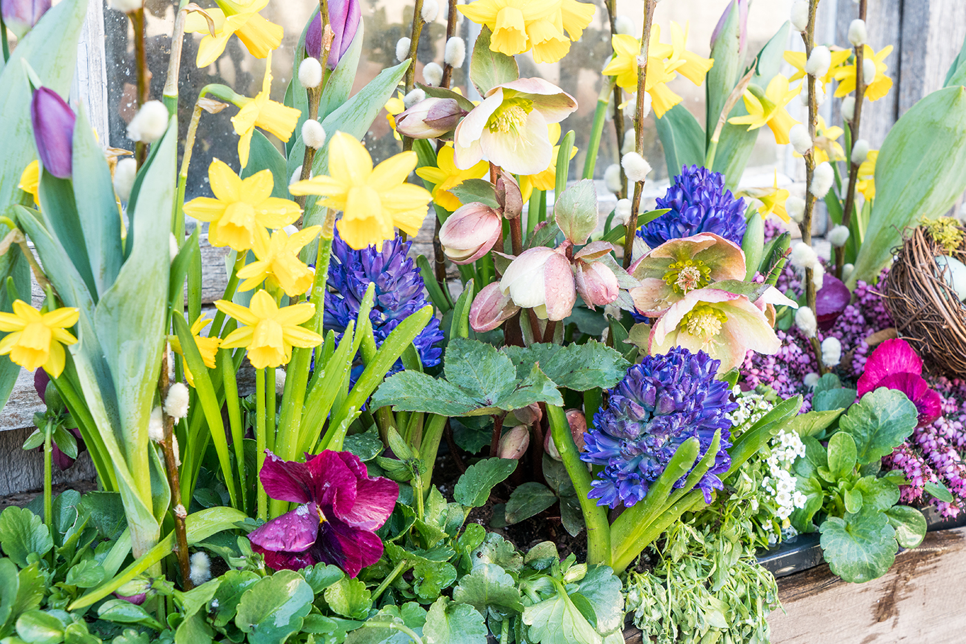 Spring window box transformation