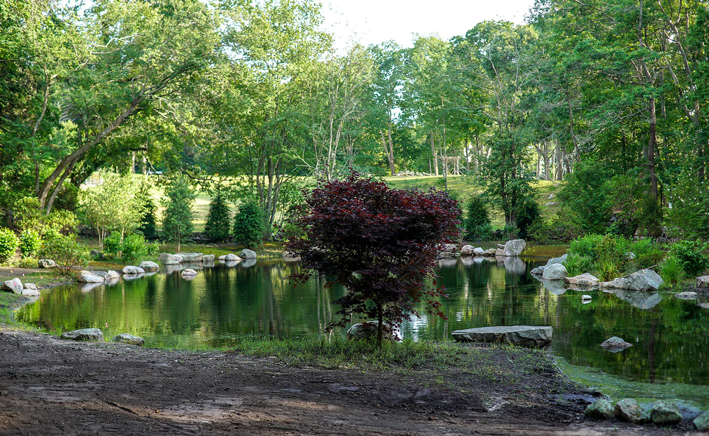 Naturalized New England landscape with restored pond by Landscape Creations