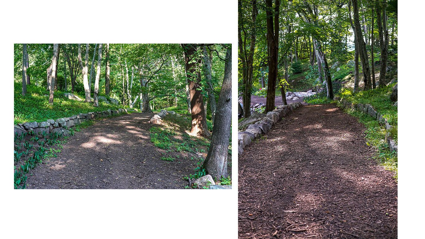 Naturalized New England landscape with walking paths by Landscape Creations