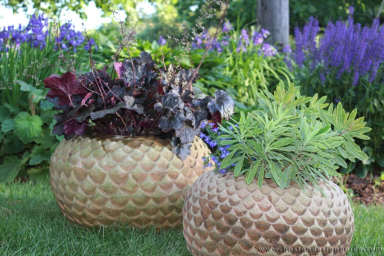 Container Gardens + Boutique Garden Services