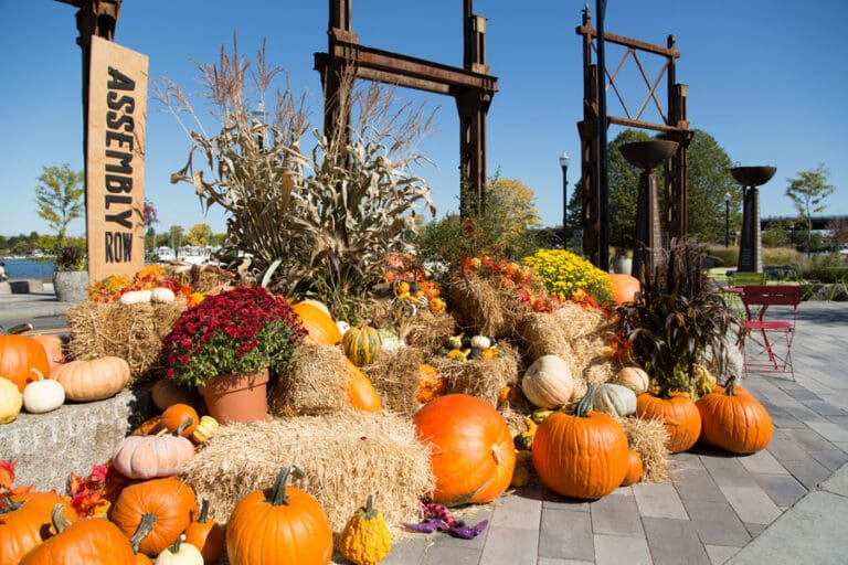 Festive Fall Containers