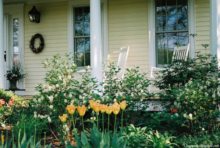 Glorious Gardens: Backyard Eden